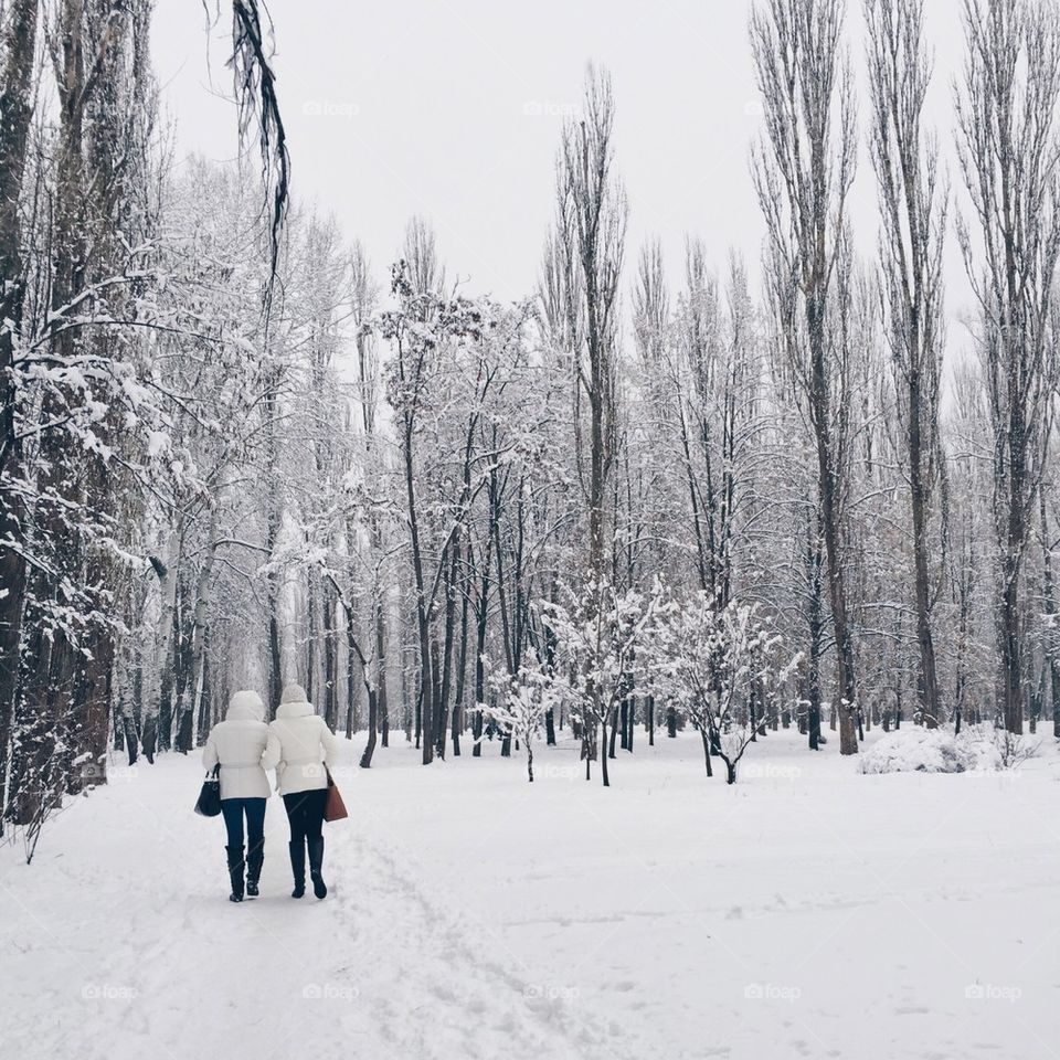 winter walk