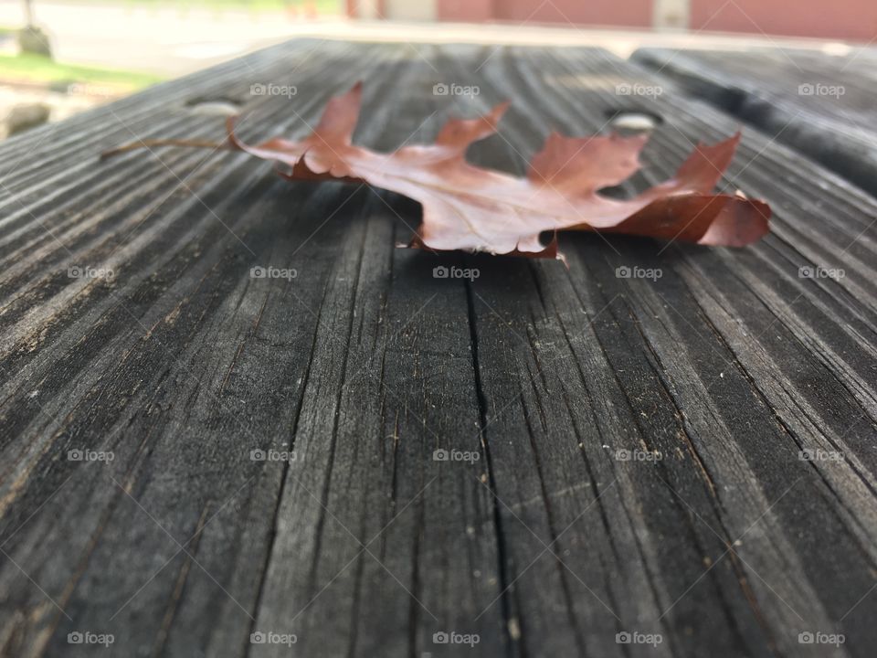 Leafy Table