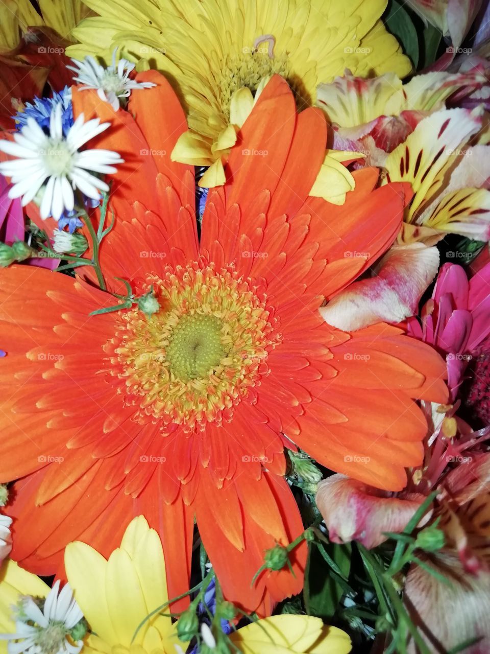 Flowers from a bouquet. Prettyness all-over