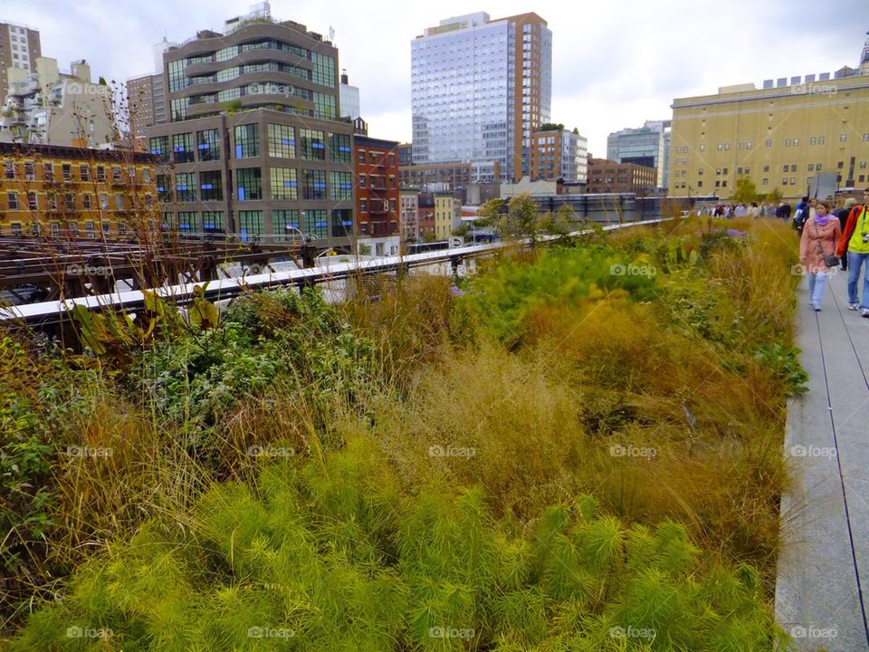 NEW YORK CITY HIGH LINE PARK THE GARDEN VIEW