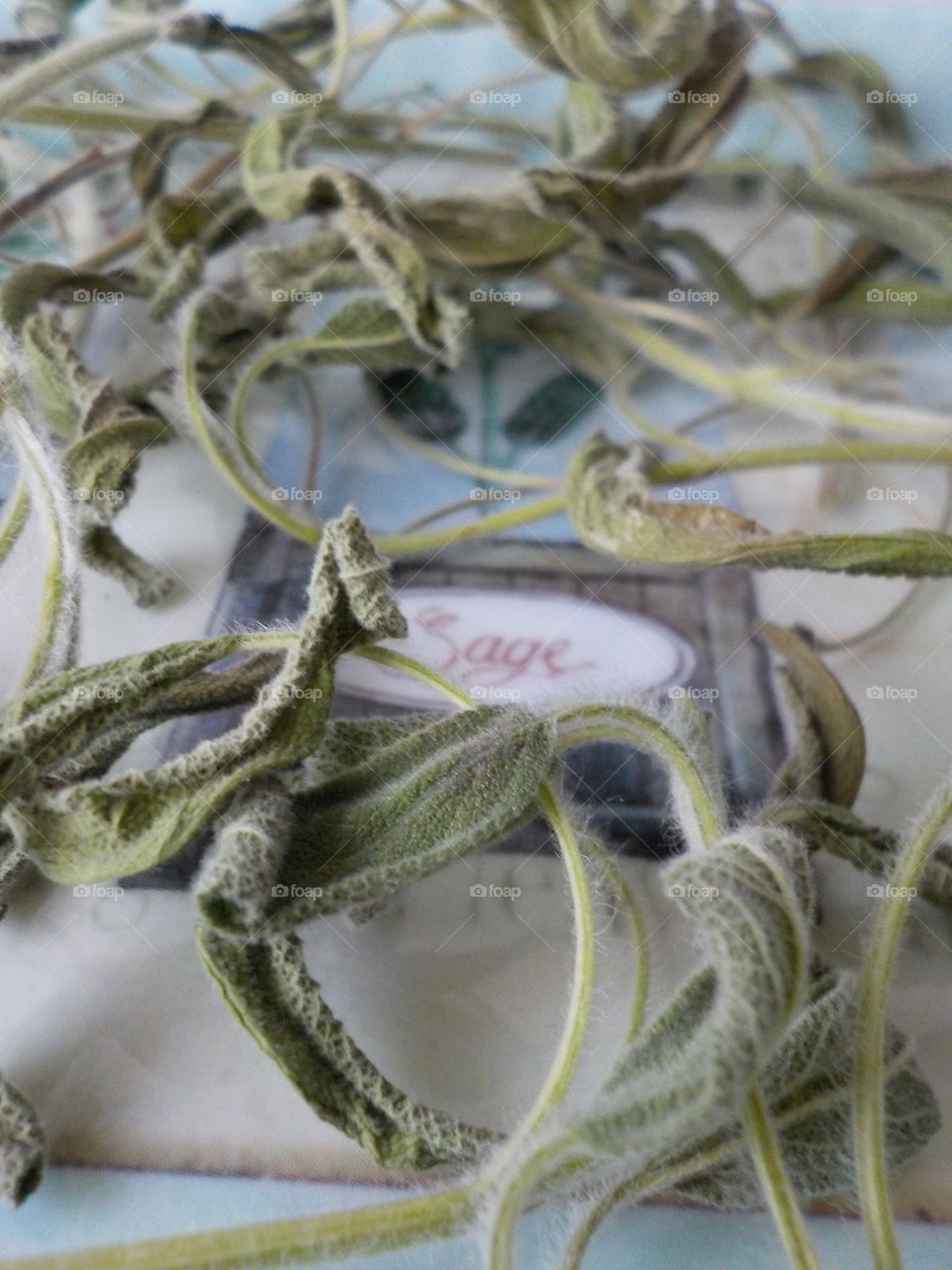 Drying for a rainy day