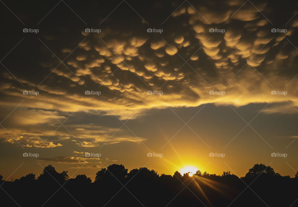 Golden Mammatus clouds at sunset
