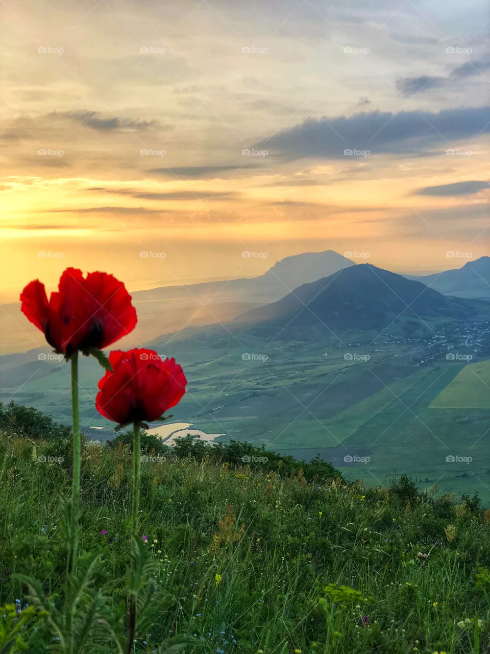 nature