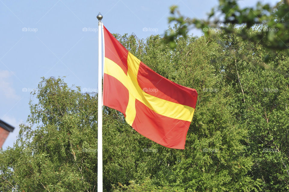 sky trees flag pole by hkjohan