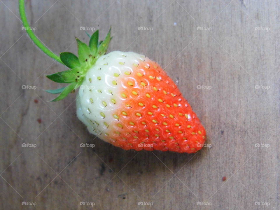 strawberry in the garden