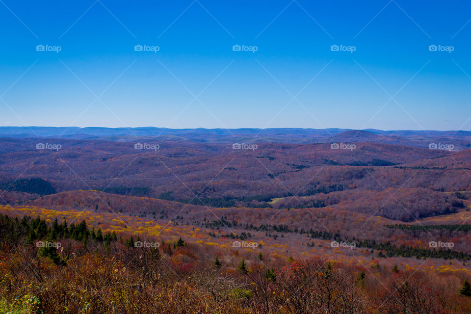 The Appalachian Mountains from Spruce Knob, WV in October. 