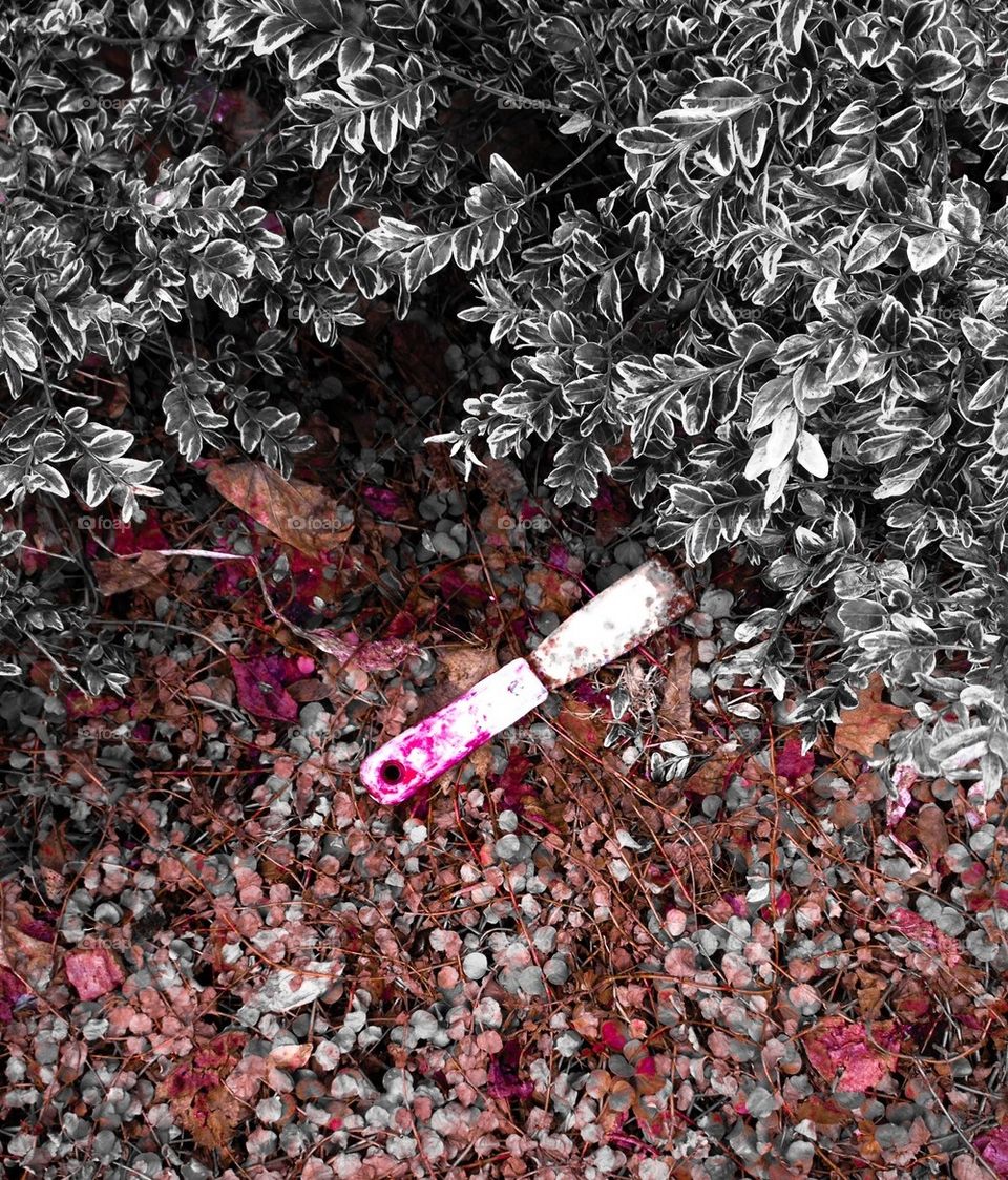 hiding under the snow