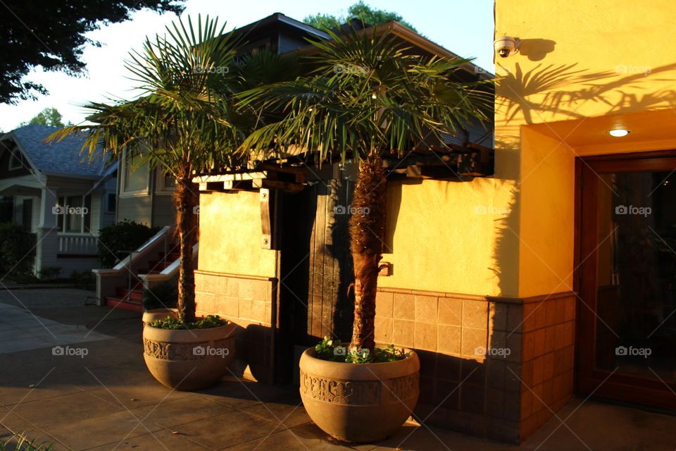 sunrise on a Street in Sacramento California