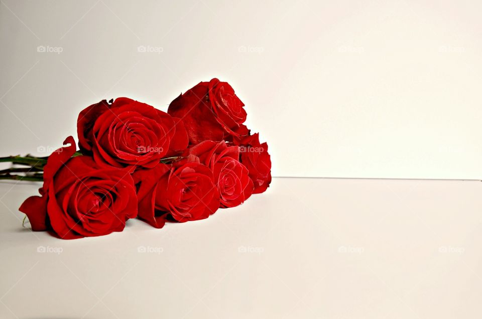 Roses laying on white surface 