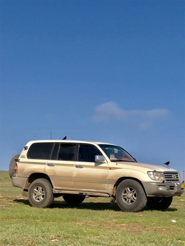 The car is in nature