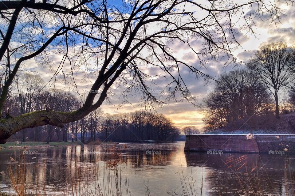 Dutch landscape series