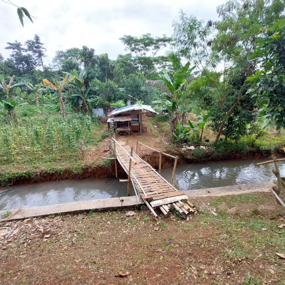 bamboo bridge to the house in the middle of the garden