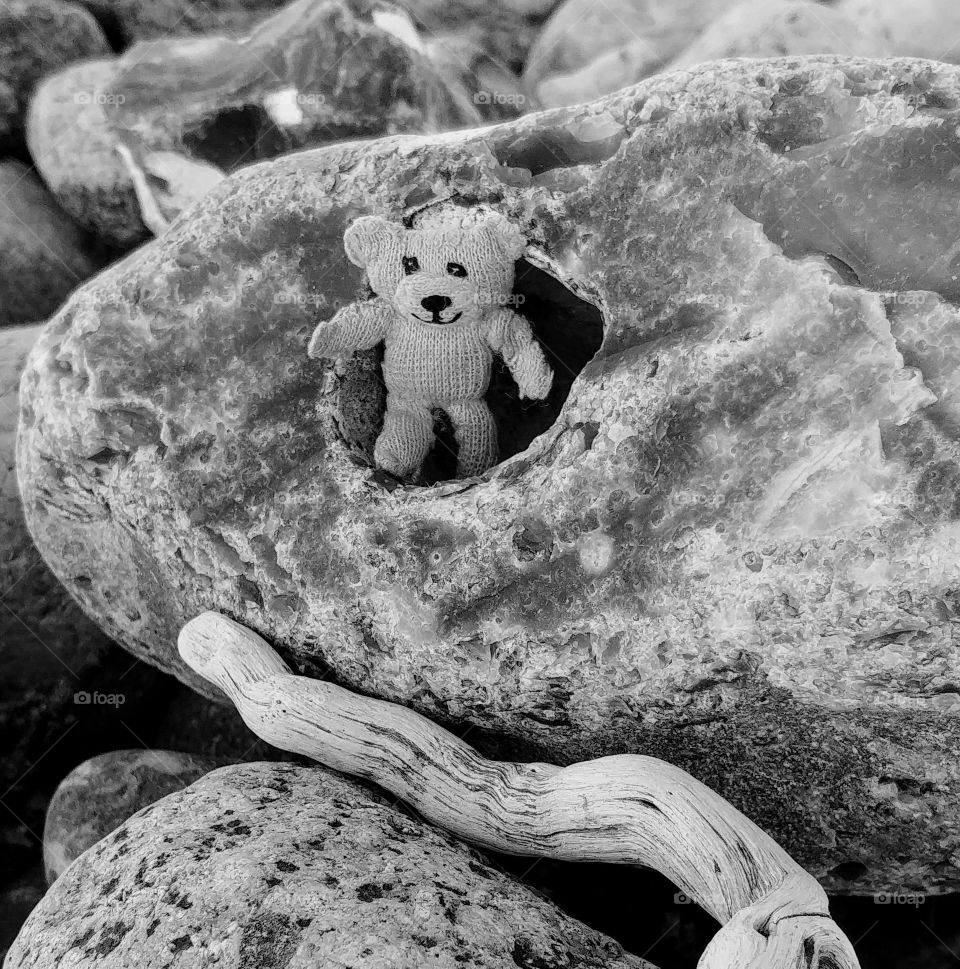 Teddy Steine Strand Treibholz Stone