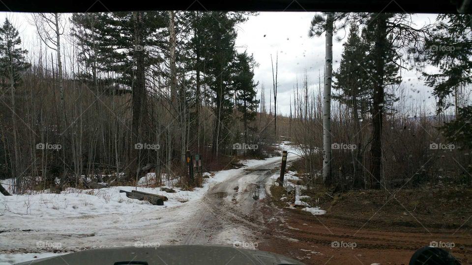 Four wheel Trail Head