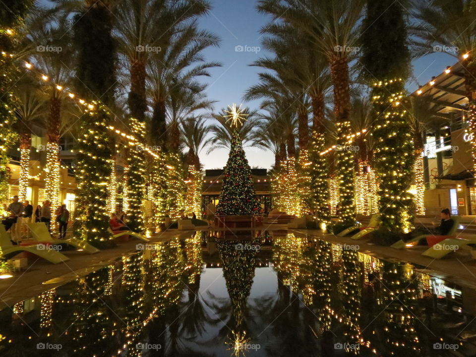 Beautiful Christmas lights and tree.