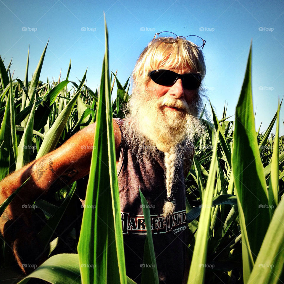 biker harley davidson cornfield by detrichpix