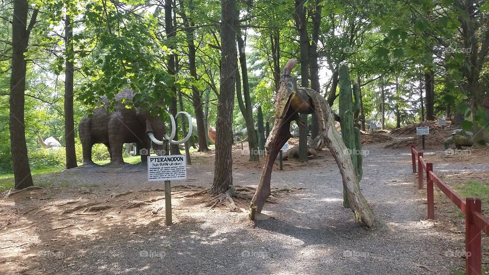 Walking around the path of paleontology