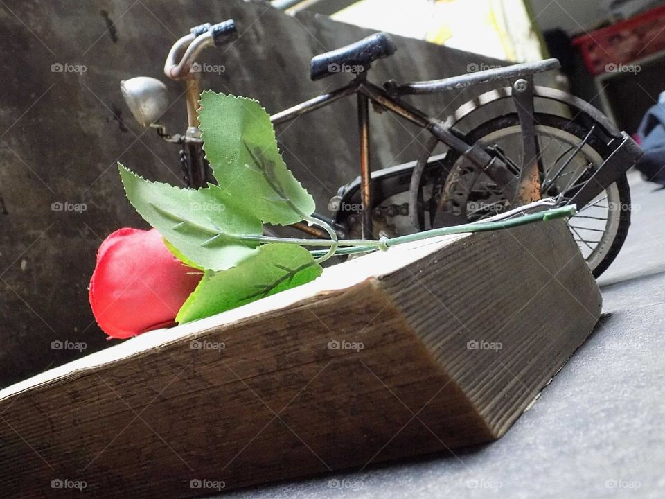 The meaning of love in a book