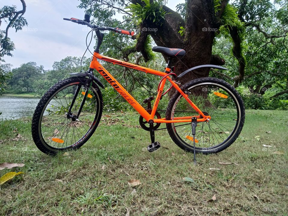 My new bicycle