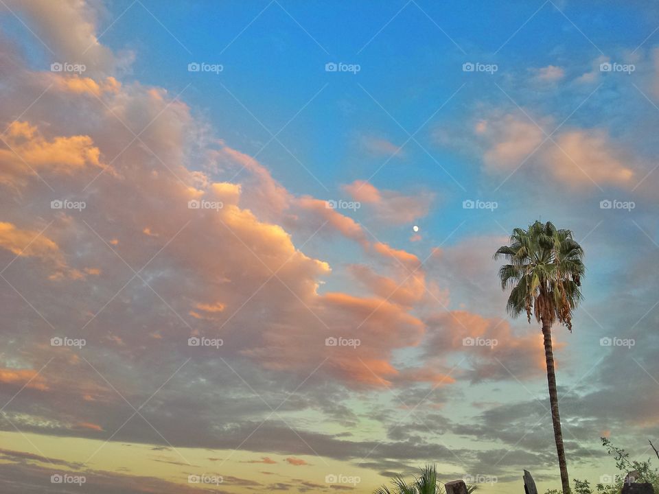 Scenic view of nature