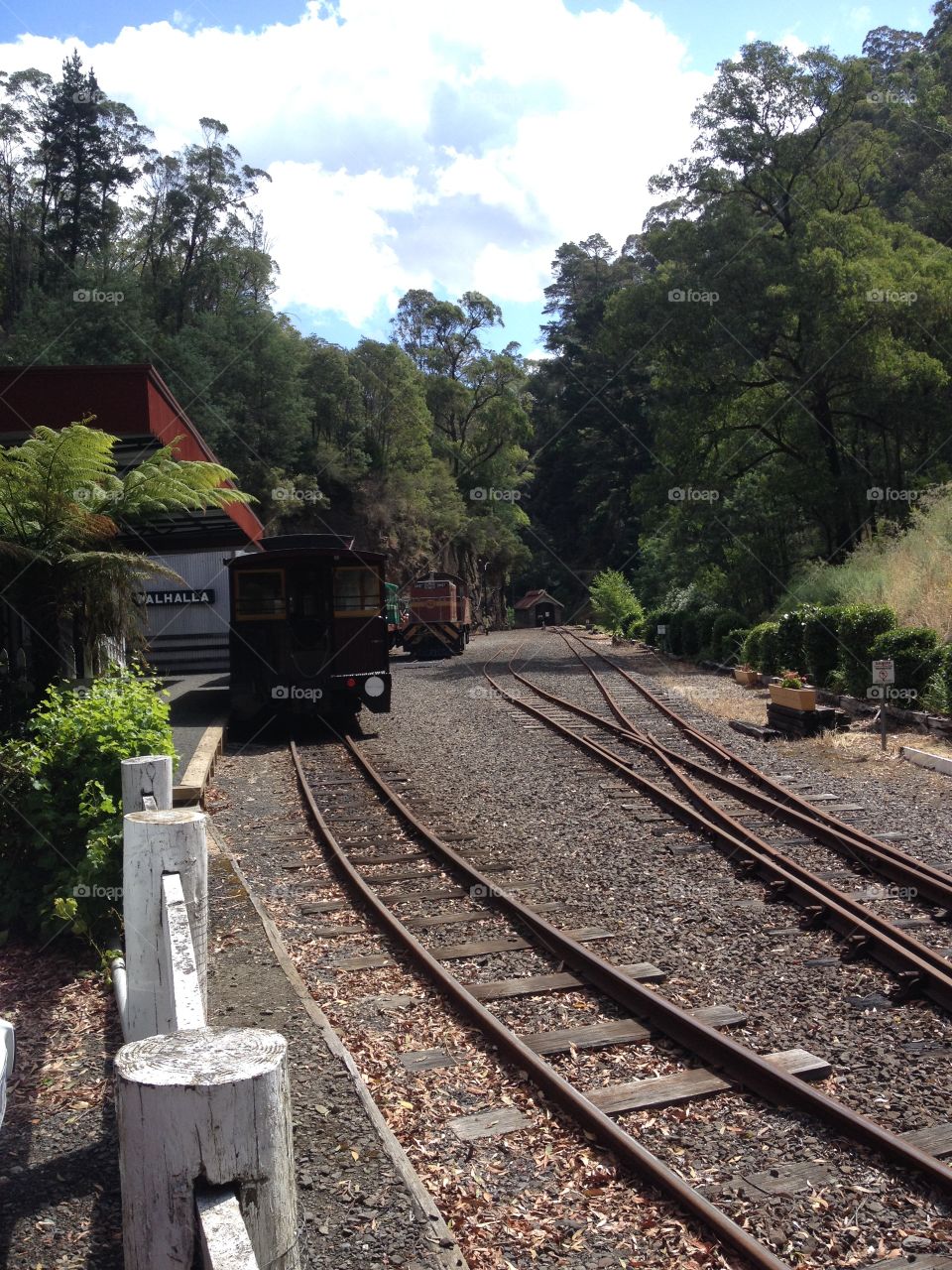 Walhalla original vintage trains, Biggest gold mining town in Victoria in the 18th century