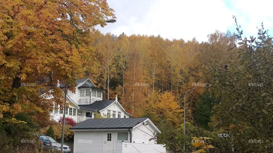 Houses, Kolmarden, Sweden