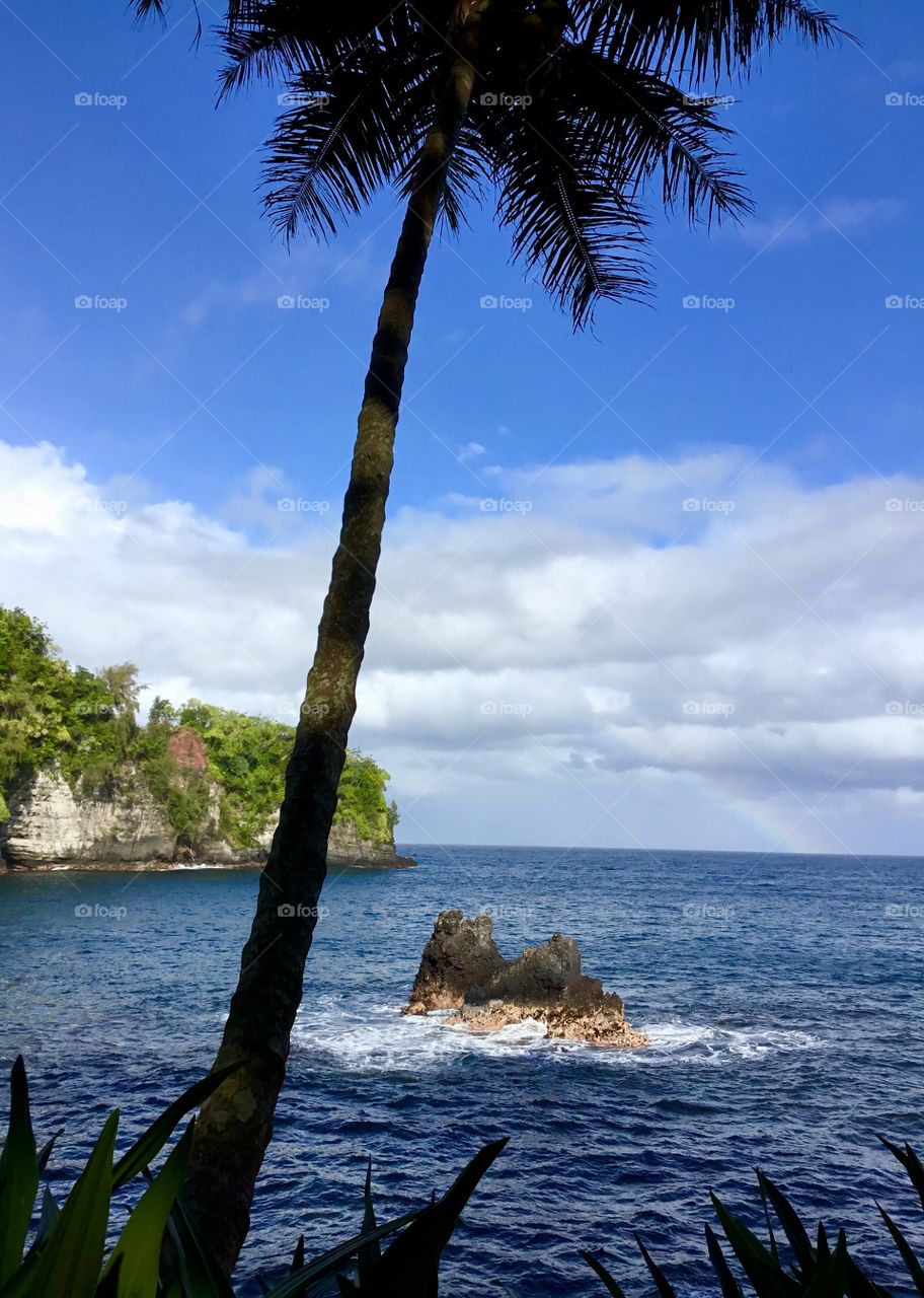 Ocean view at Hawaii Tropical Botanical Garden