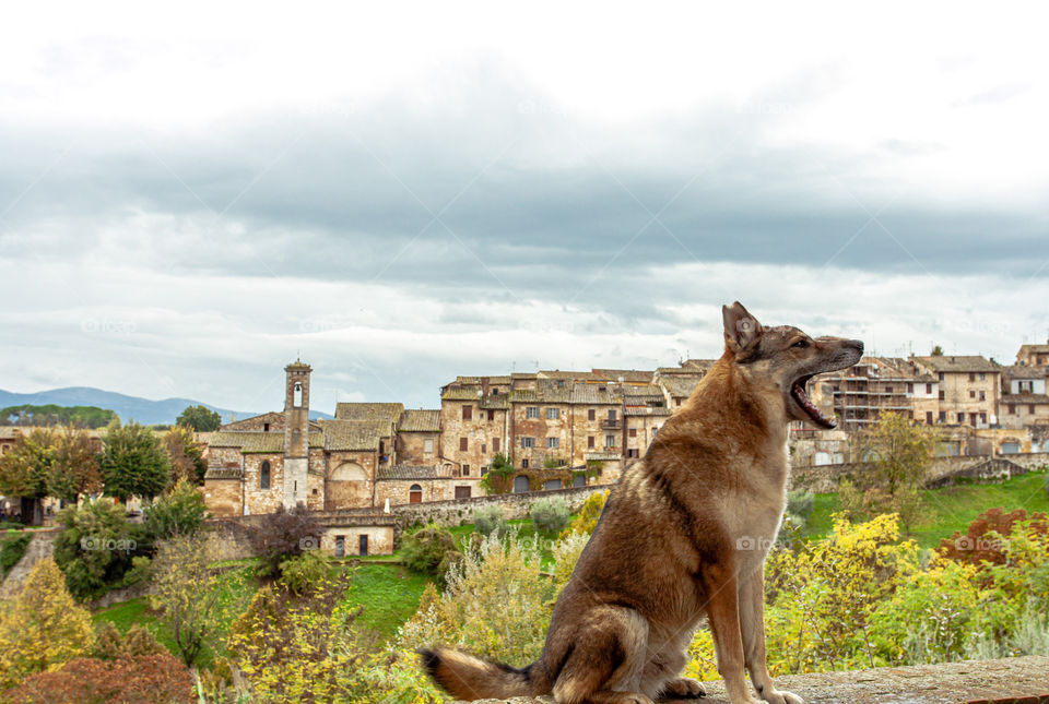 Cityscaoe of Volterra Tuscany 