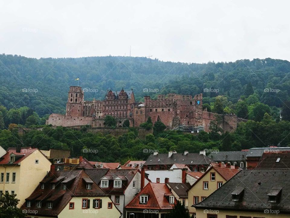 The wonderful castle of Heidelberg.