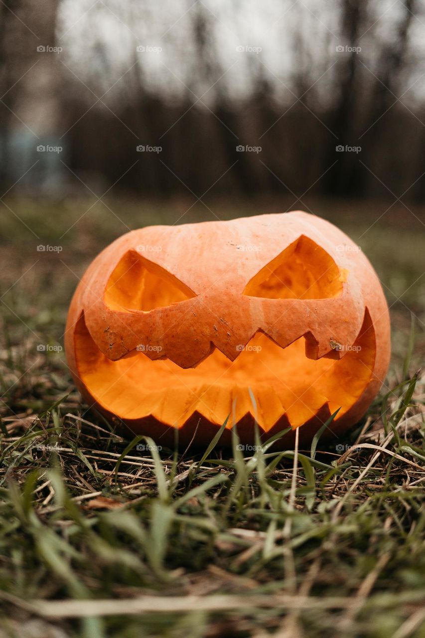 diy and crafts / carved pumpkin / halloween / fall season 