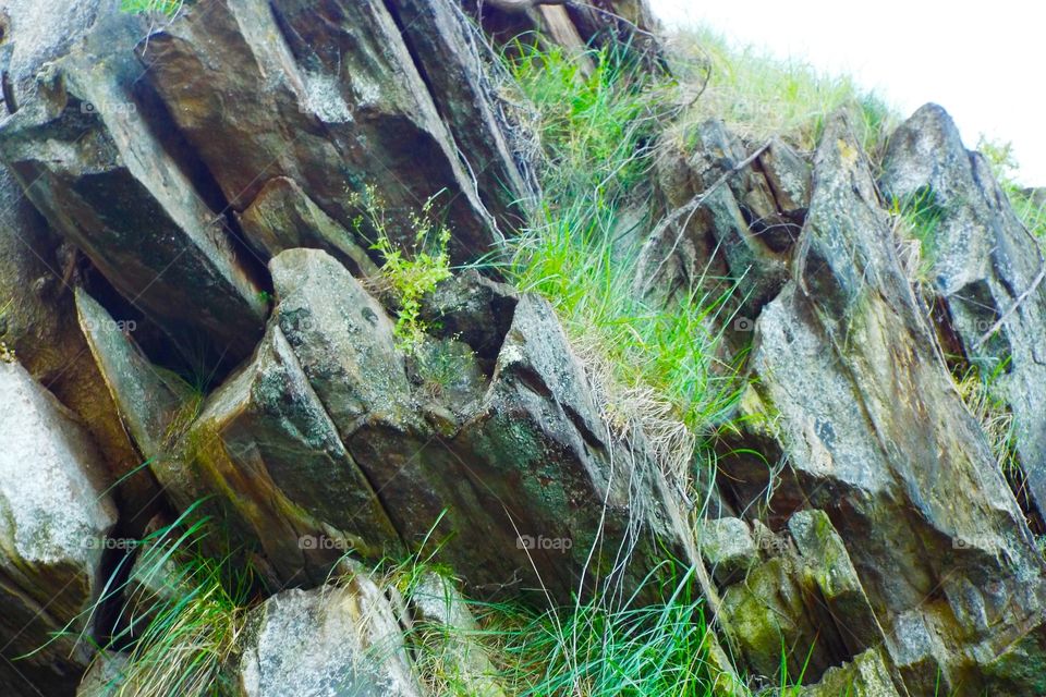 Boulders with grass growing on them