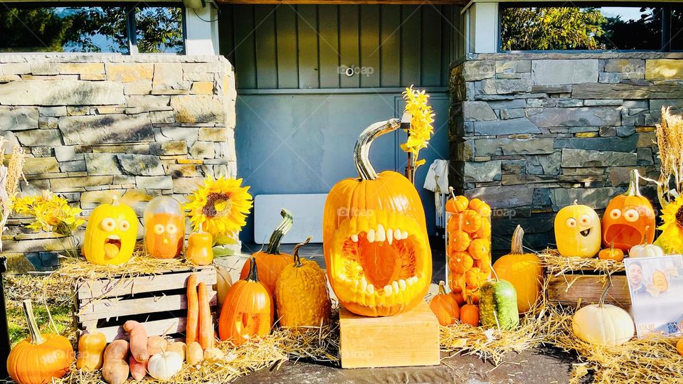 Creepy,silly, funny, expressive, spooky, gory unique pumpkin designs. 