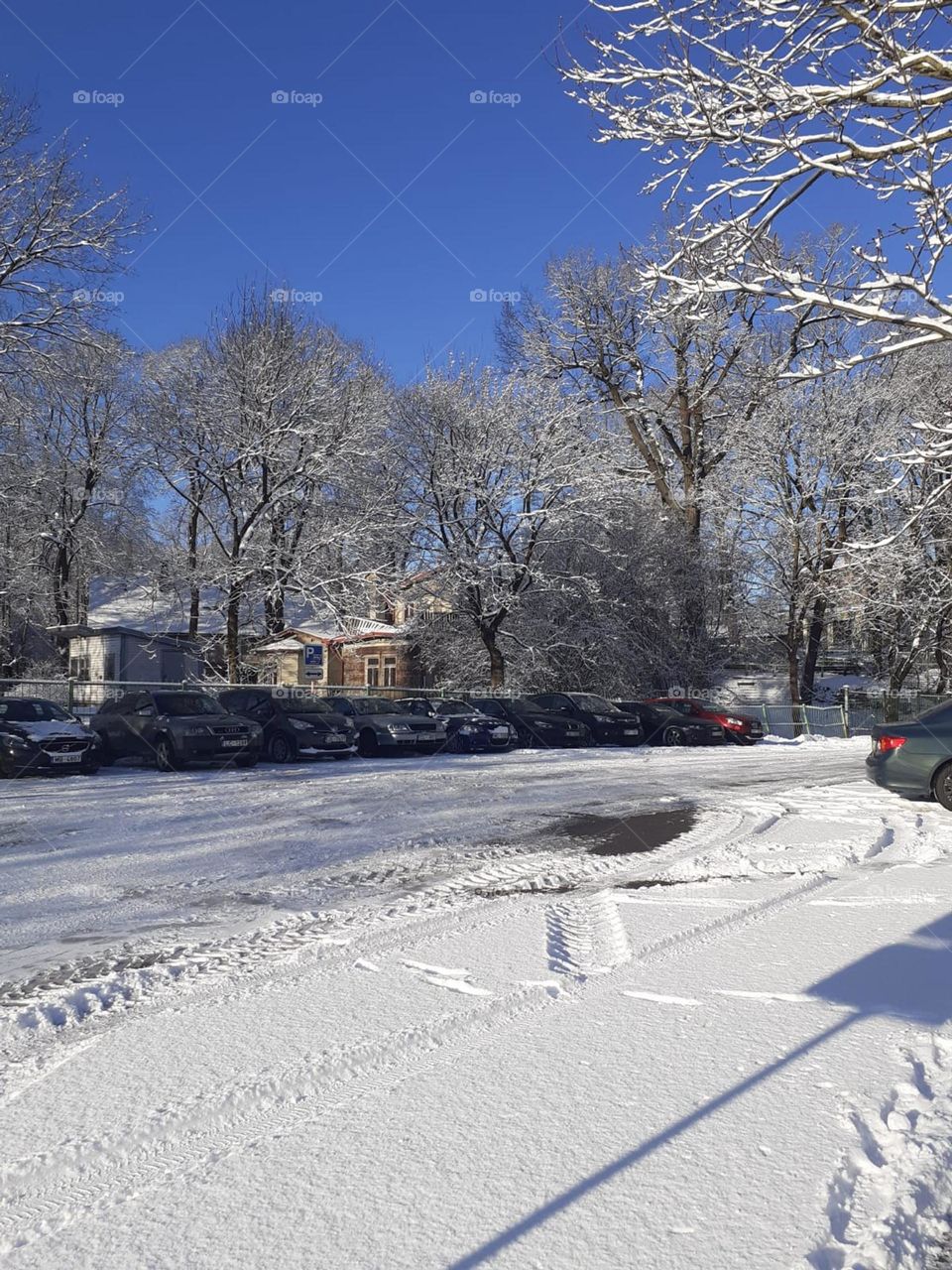 Весеннее утро в Риге, 6 апреля 2022 года