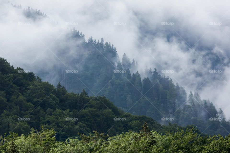 Fog is rising from different layers of forests high up in the mountains making it a magical moment 