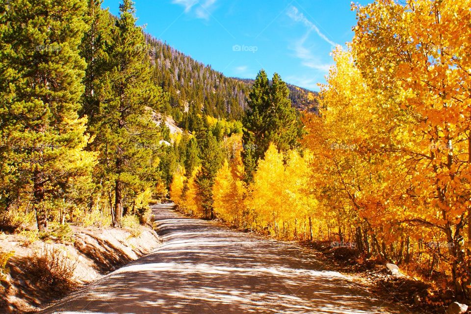 Fall color above cottonwood lake