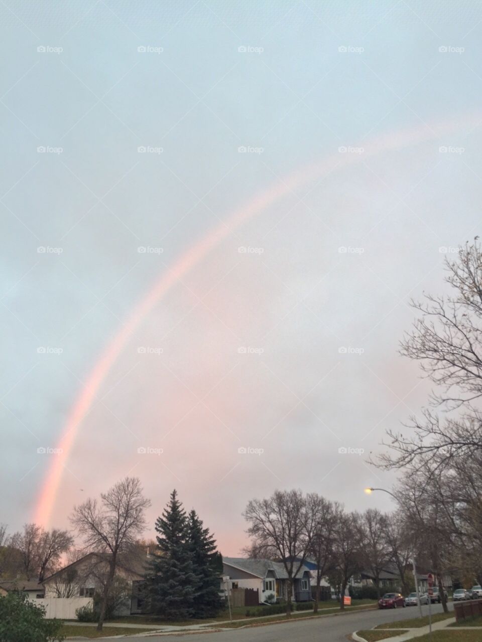 Thankful 4 rainbows. Rainbow appeared after family dinner on Thanksgiving day 2015 that encompassed the entire sky.
