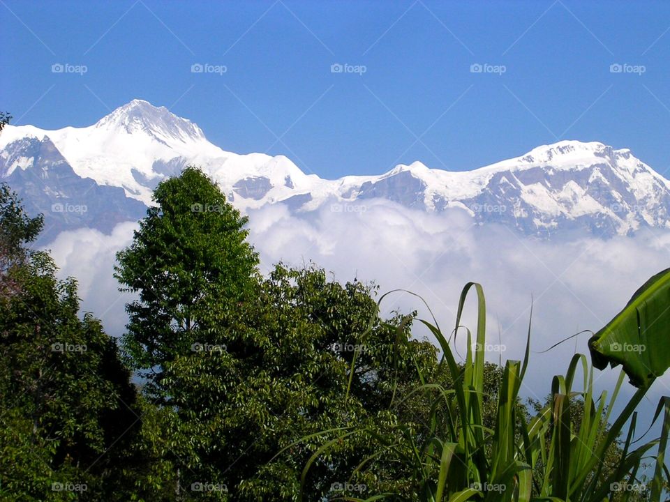 Himalayas 