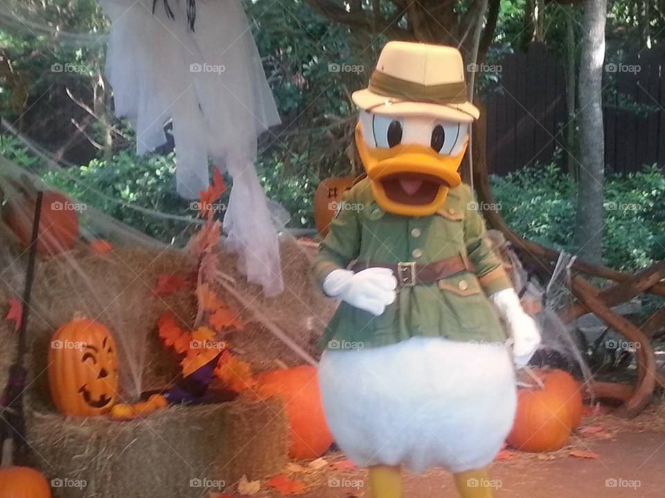 Fall festivities with Donald Duck