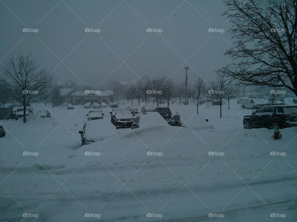 Snowed in Parking Lot