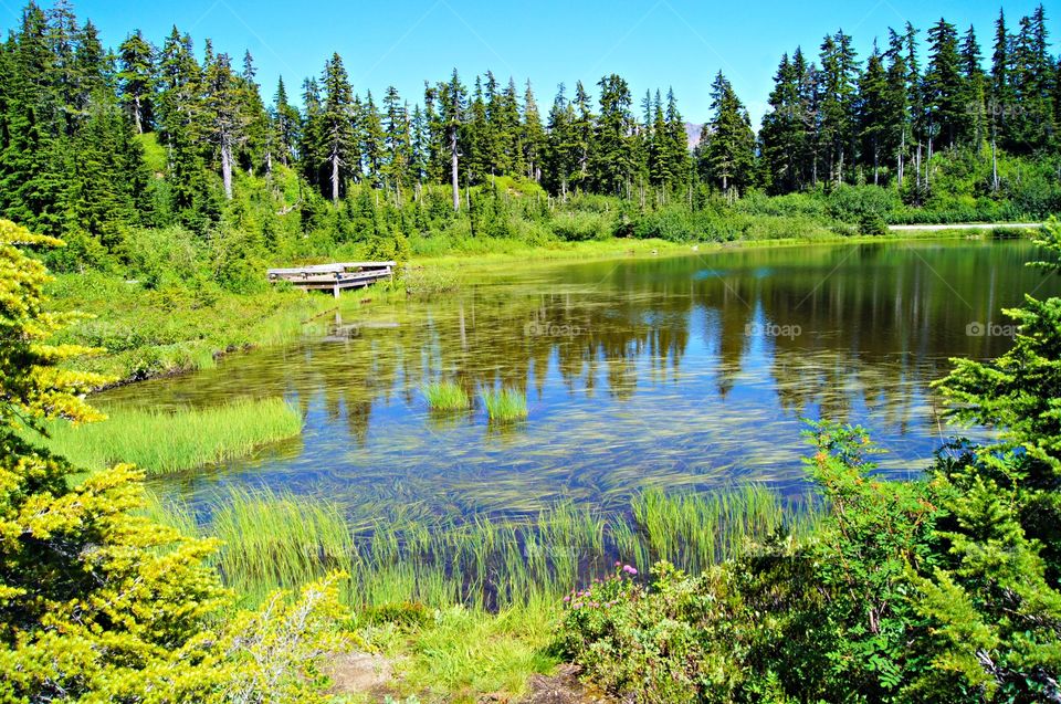 The mirror lake 