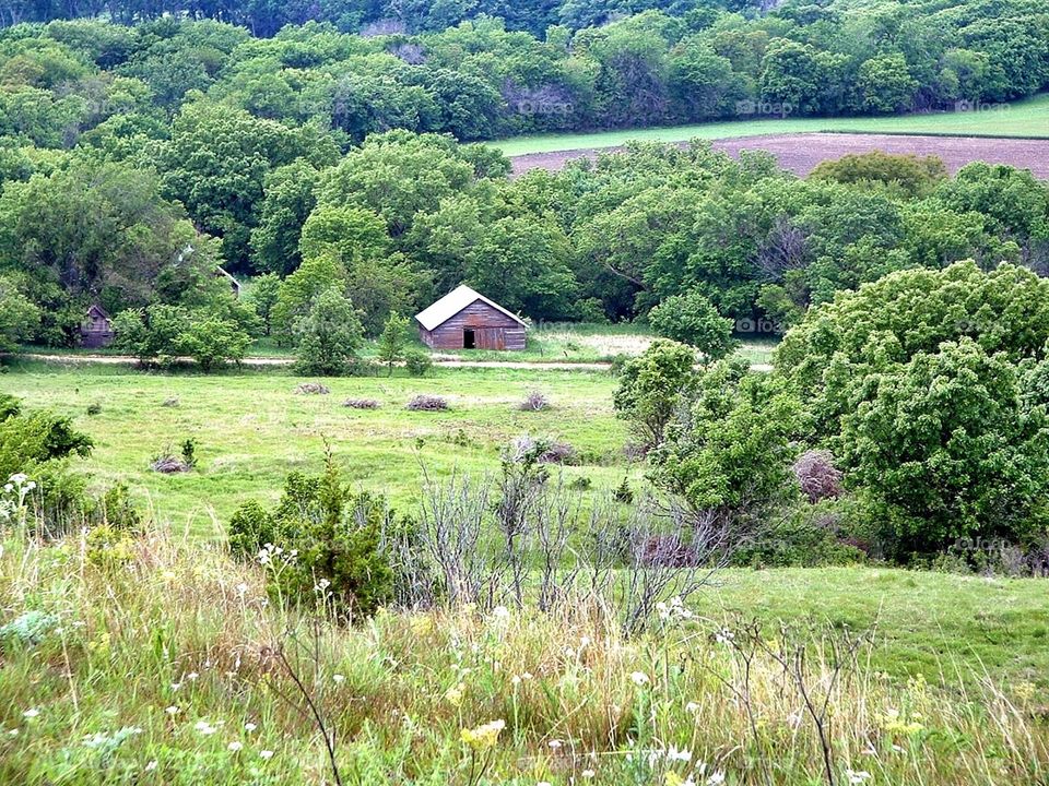 House in the valley of trees.. A small farm building in the valley viewed from on top of a  