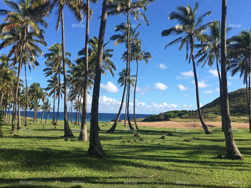 Easter Island, Chile