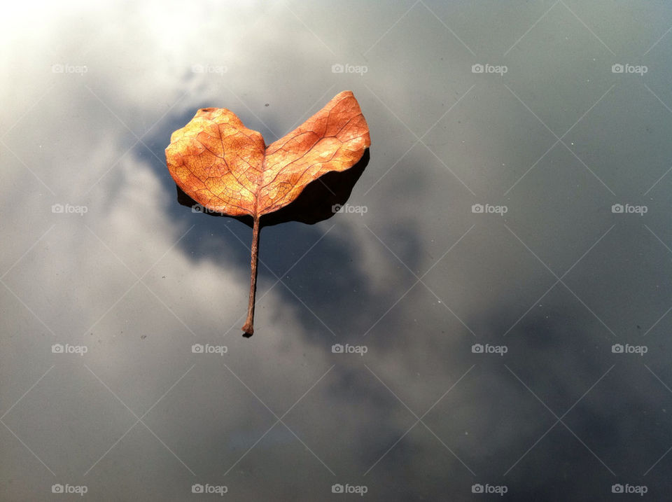 sky clouds leaf heart by luckie