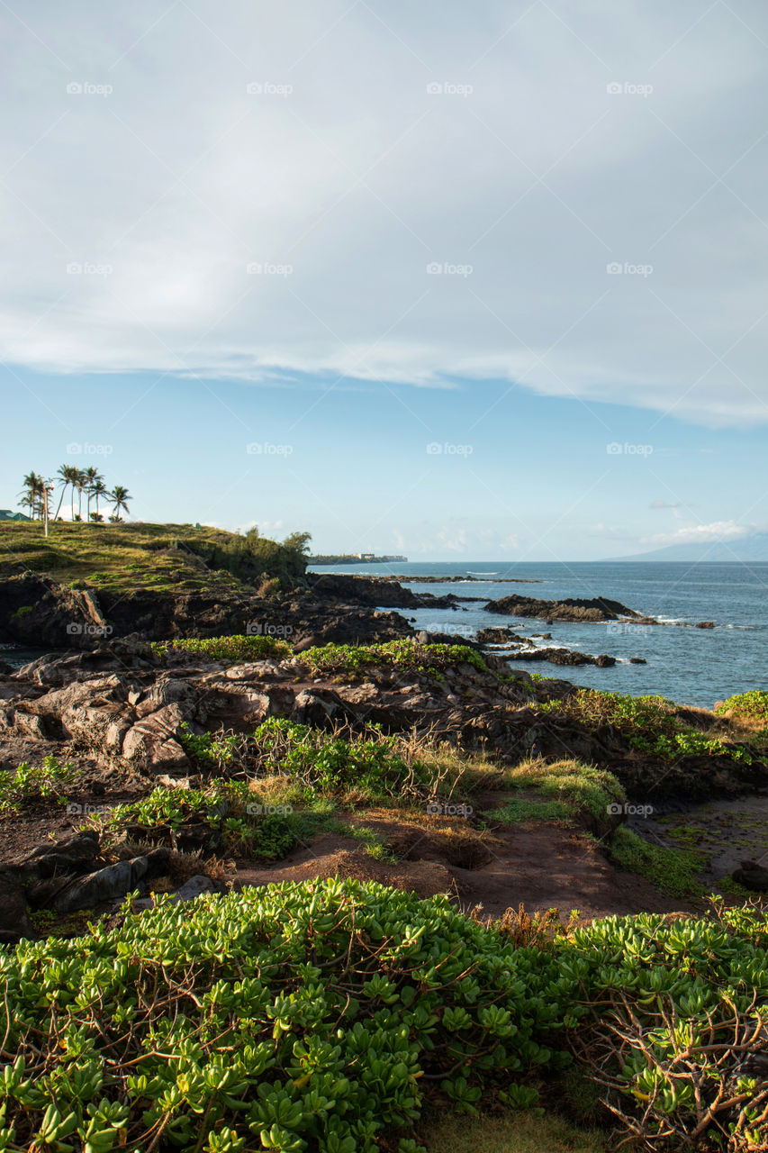 Maui paradise 