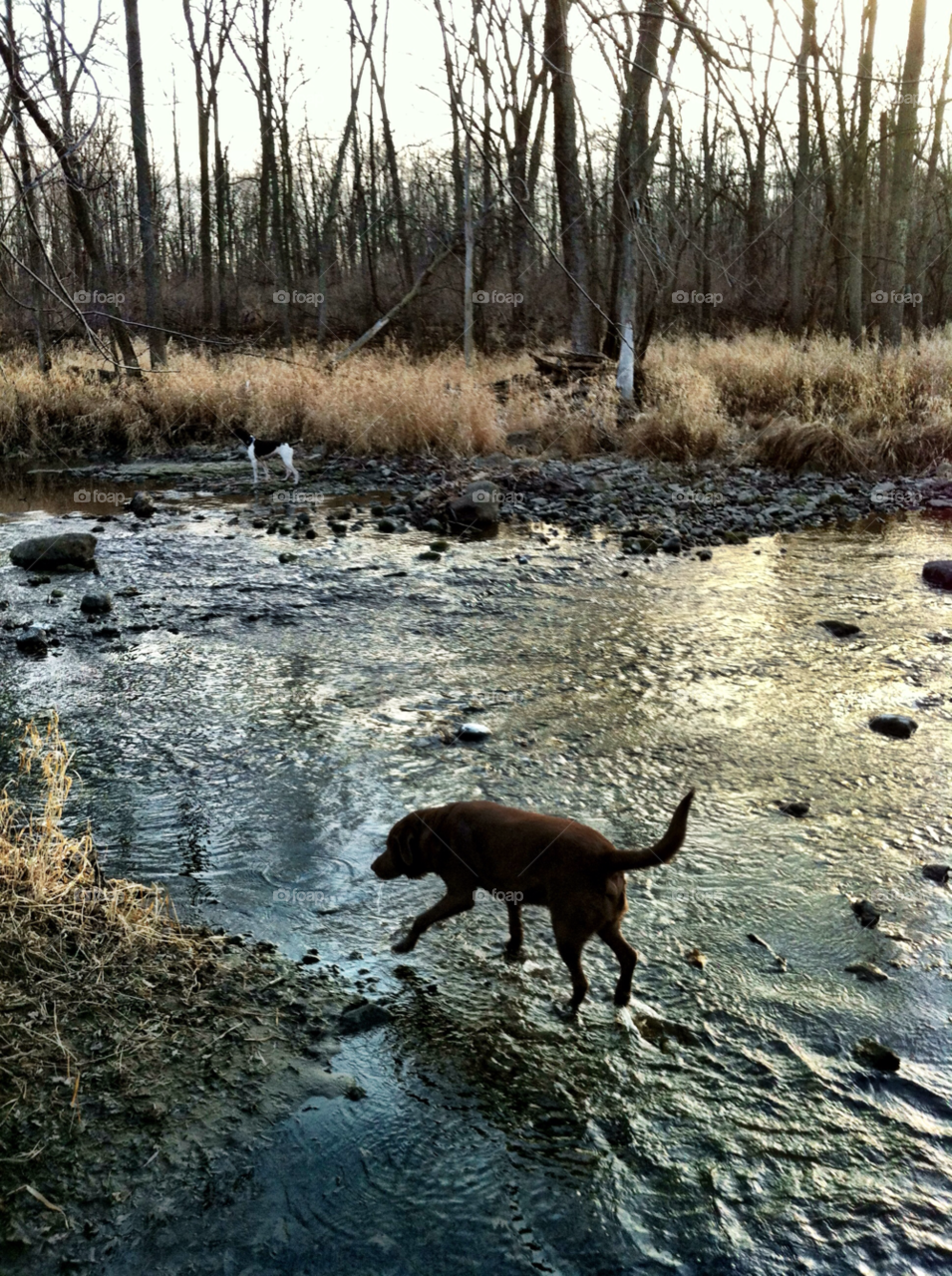 river hike lab racine wi by doug414