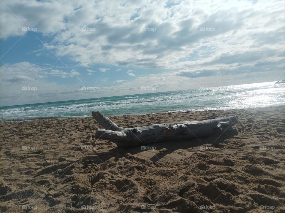 path beach. paisaje playa