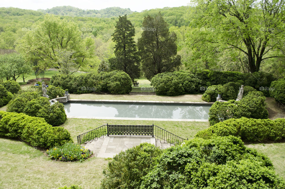 Reflection of trees in water at park