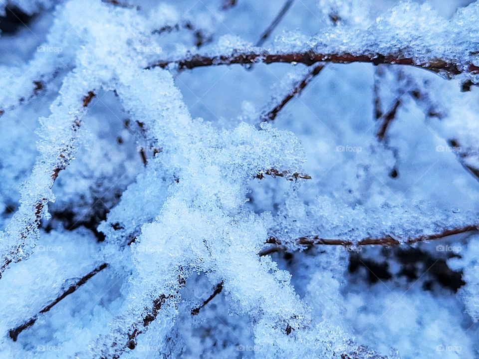 Snow in the Netherlands