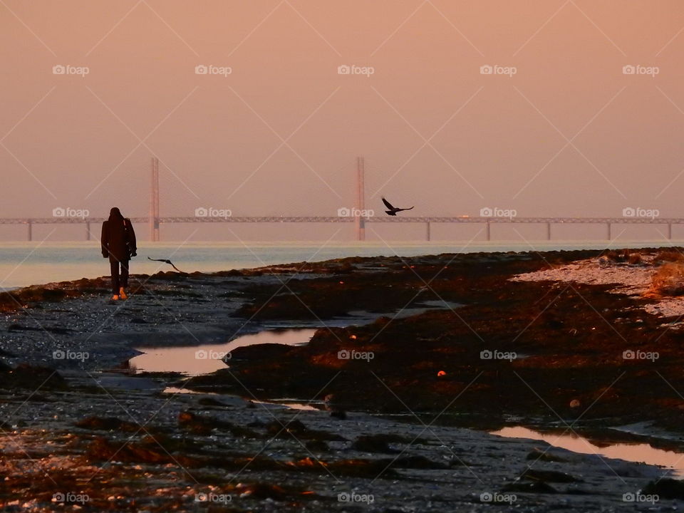 Rear view of a man walking on beach