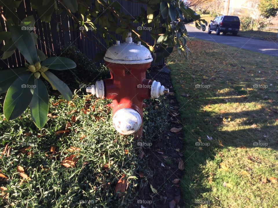 An old fire hydrant 